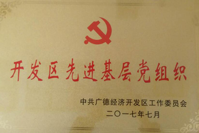 開發(fā)區(qū)先進基層黨組織